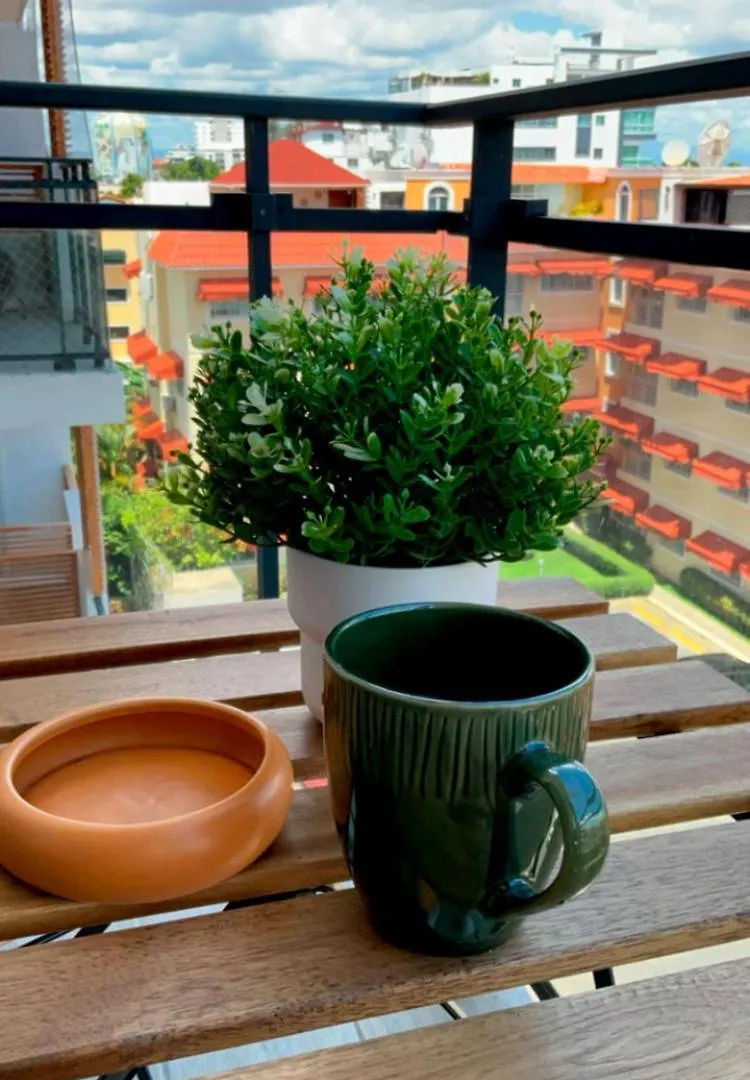 Comfortable Central Apartment Santo Domingo