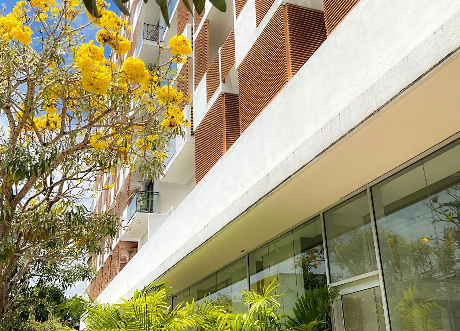סנטו דומינגו Comfortable Central Apartment הרפובליקה הדומיניקנית